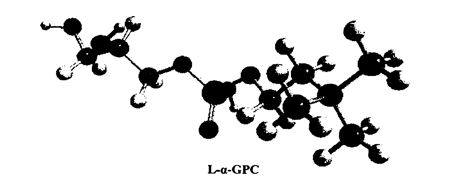 Method for separating and purifying L-alpha-glycerophosphorylcholine (L-alpha-GPC) by silica gel column chromatography