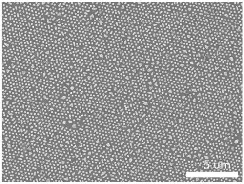 A kind of porous gold-silver alloy nanomaterial and its preparation method and application