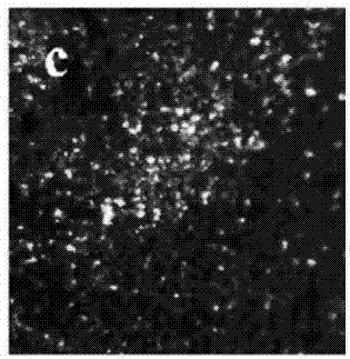 Electrolyte capable of suppressing zinc dendritic crystal growth in charging-discharging process of Zn-PANI secondary battery