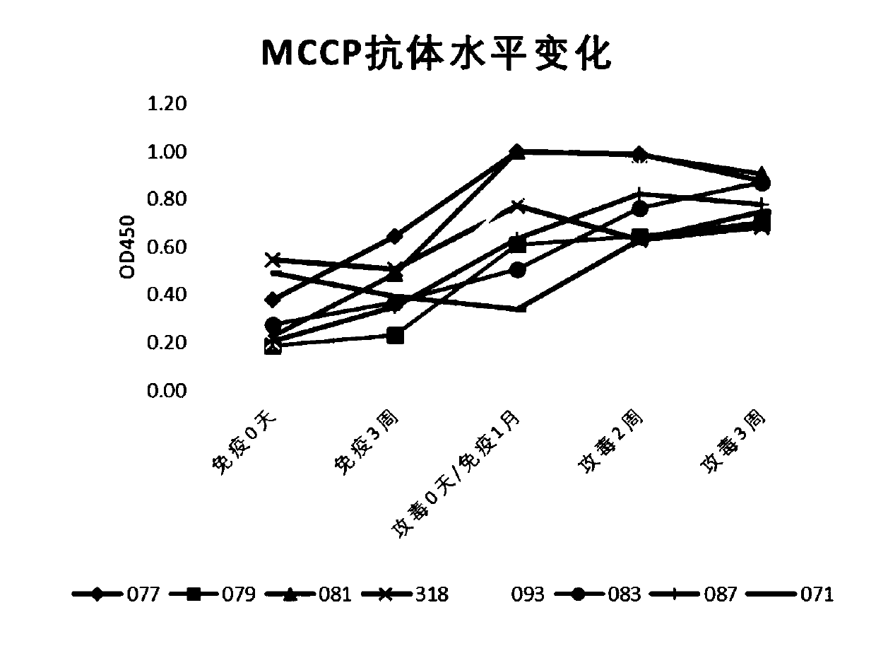 Mycoplasma capricolum subsp. capripneumoniae specific protein and indirect ELISA kit