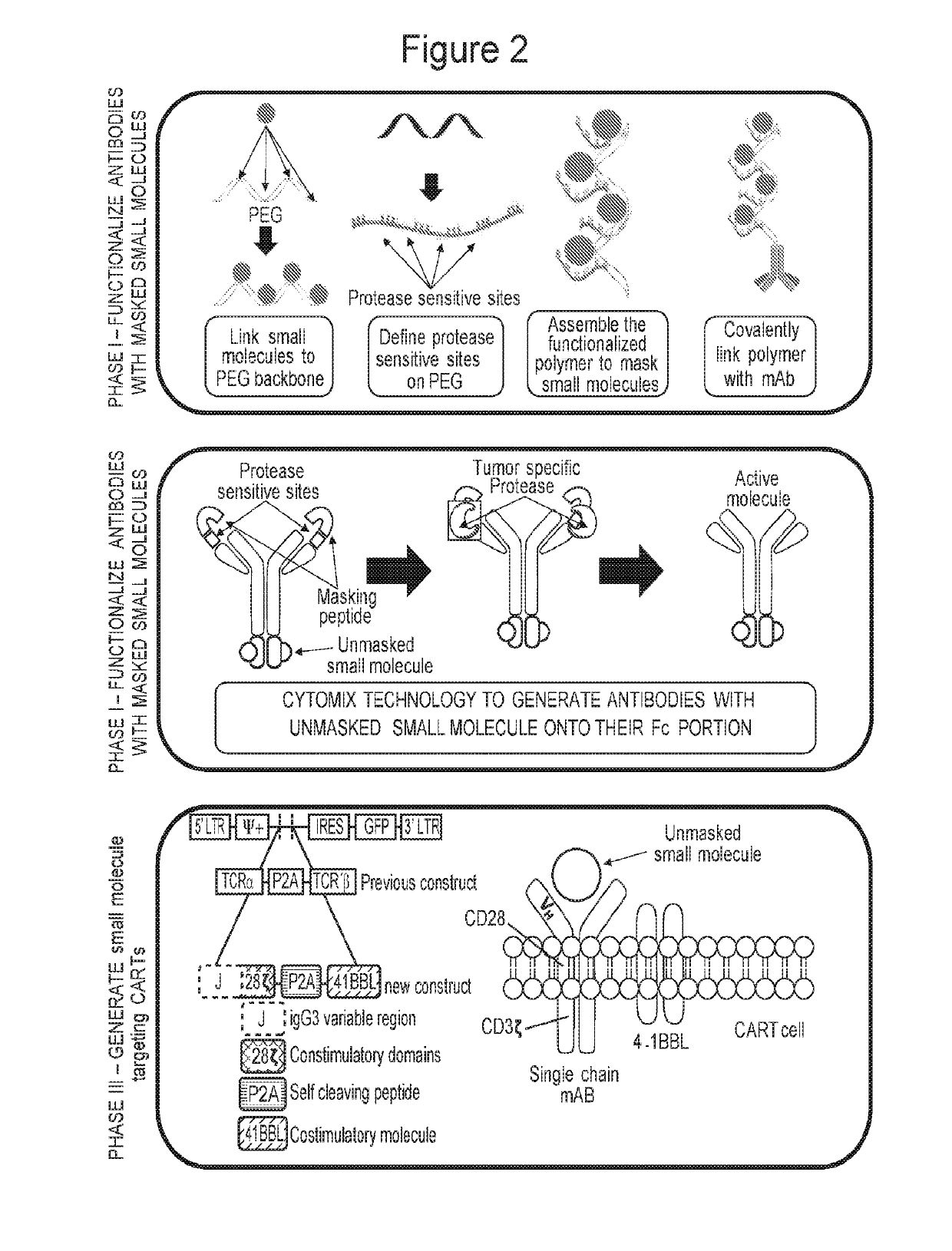 Immunotherapy compositions and methods