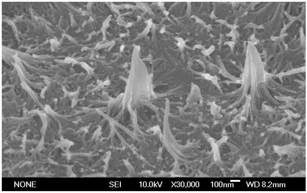 Preparation method of tough polylactic acid composite fiber