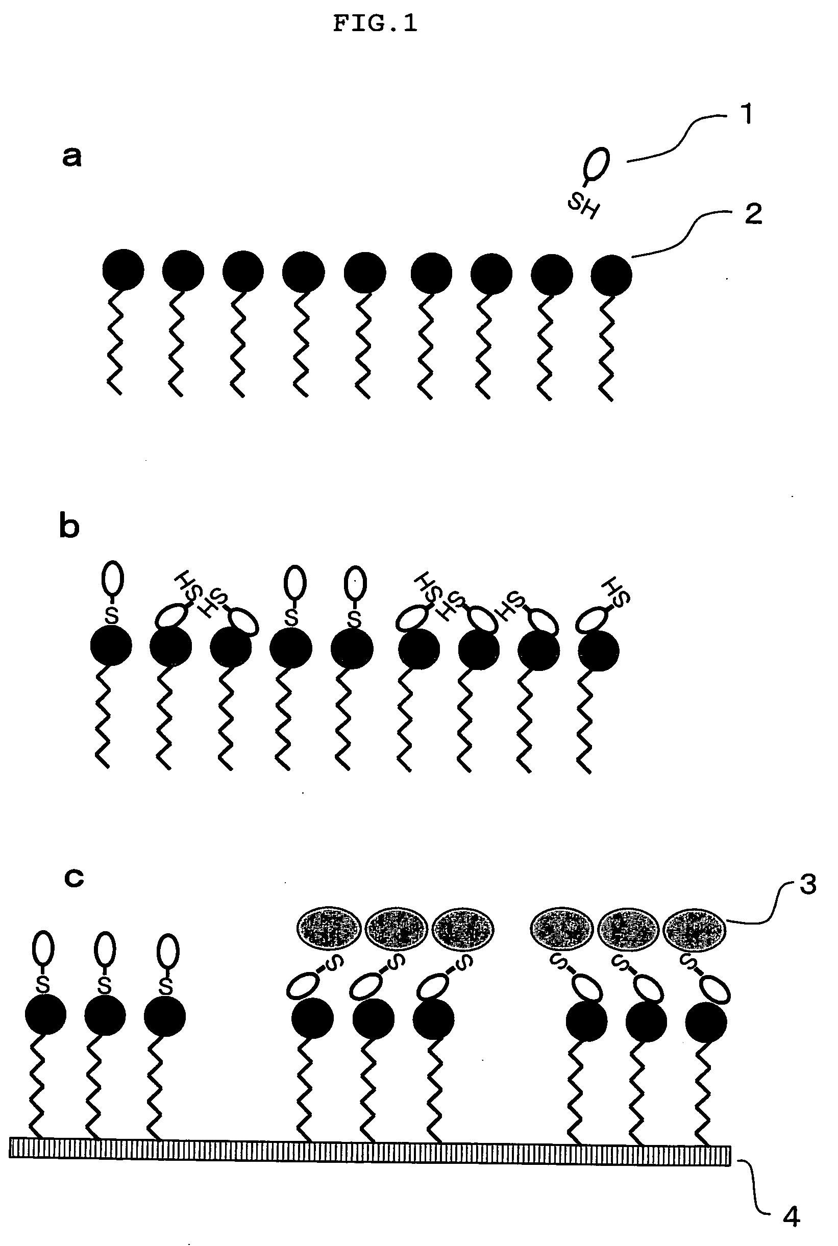 Method of fixing low-molecular compound to solid-phase support