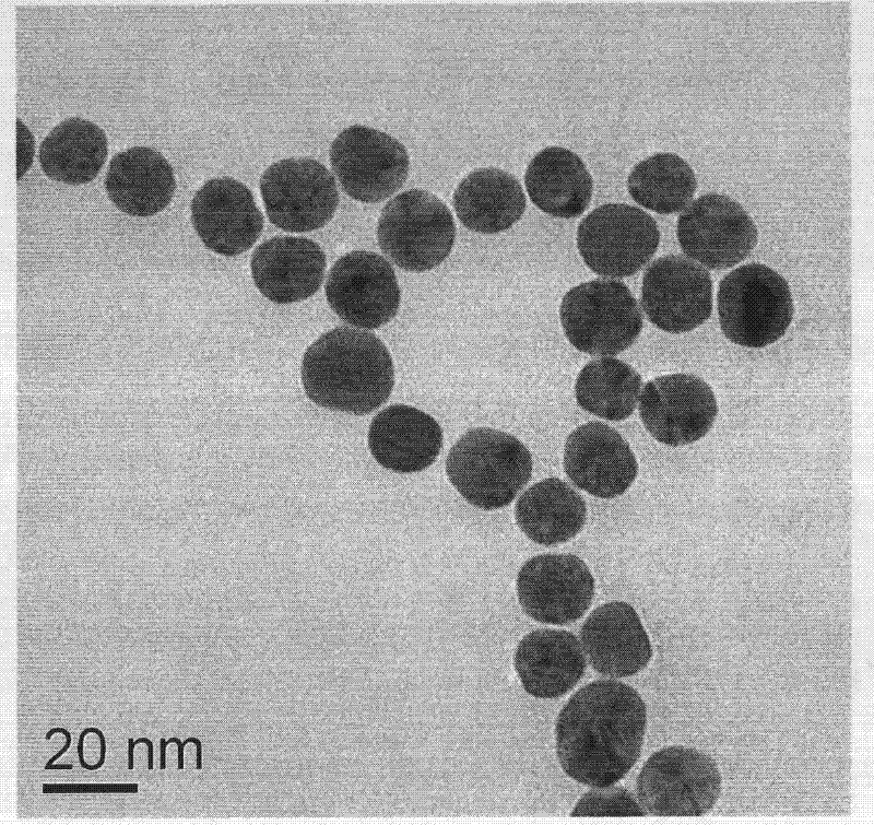 Method for preparing gold and silver nanoparticles with hydro-thermal method