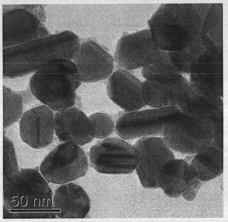 Method for preparing gold and silver nanoparticles with hydro-thermal method