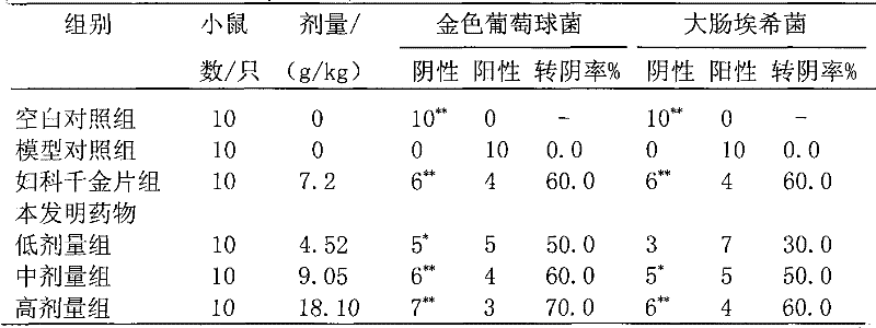 Medicament composition for treating gynecologic inflammation and preparation method and application thereof