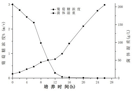 Recombinant Pichia pastoris culture medium, and culture method and application thereof