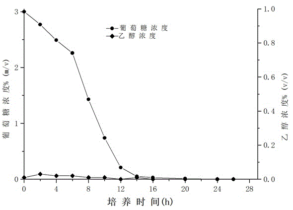 Recombinant Pichia pastoris culture medium, and culture method and application thereof