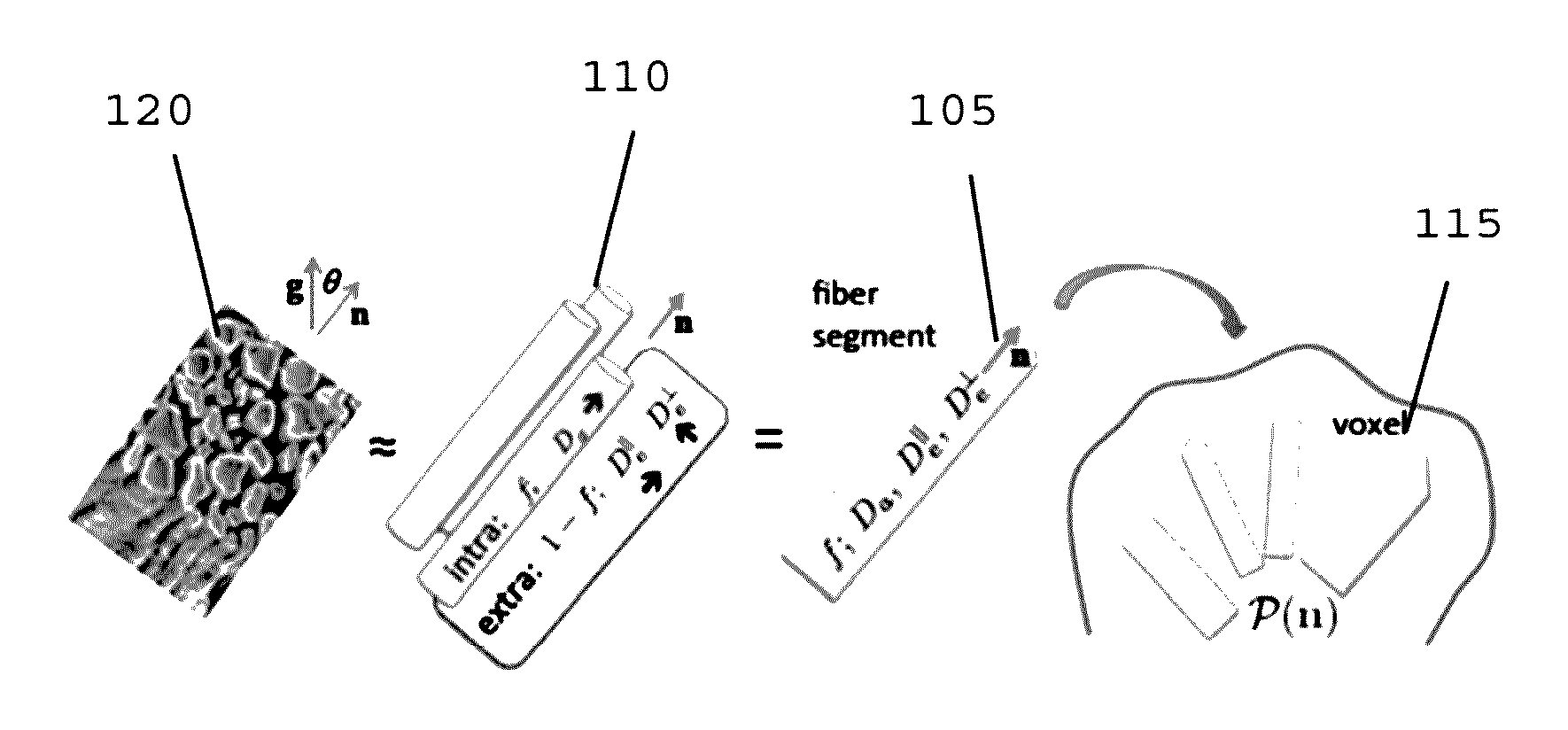 System, method and computer-accessible medium for determining brain microstructure parameters from diffusion magnetic resonance imaging signal's rotational invariants