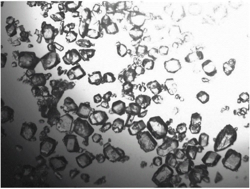 Citric acid crystal and production method thereof