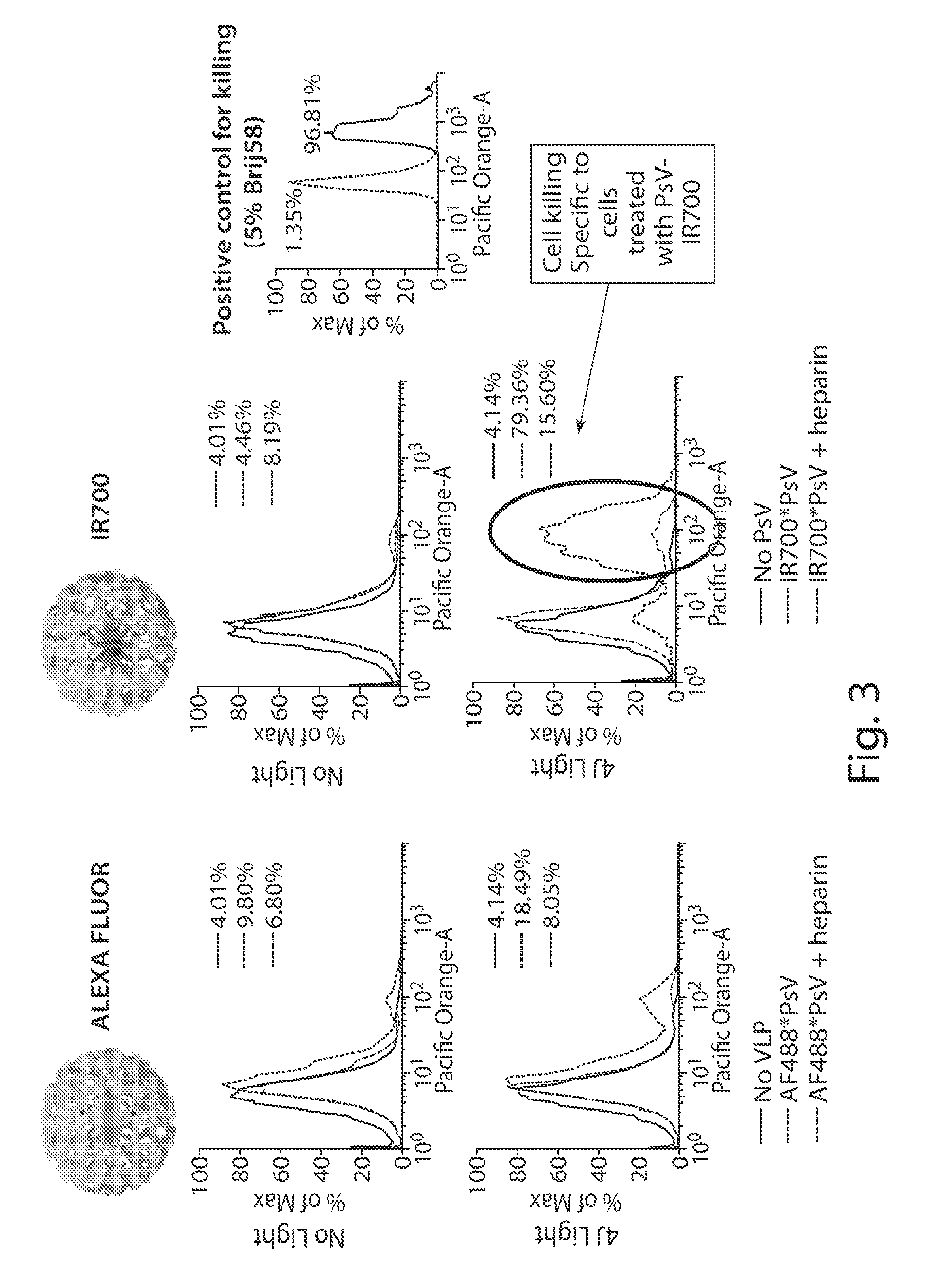 Virus-like particle conjugates for diagnosis and treatment of tumors