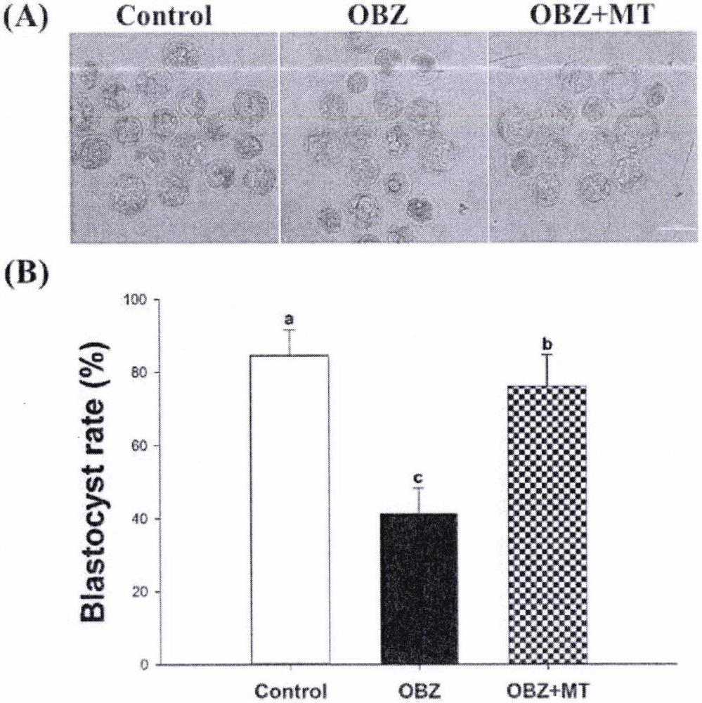 Method for improving in-vitro and in-vivo maturation quality of oocytes and application