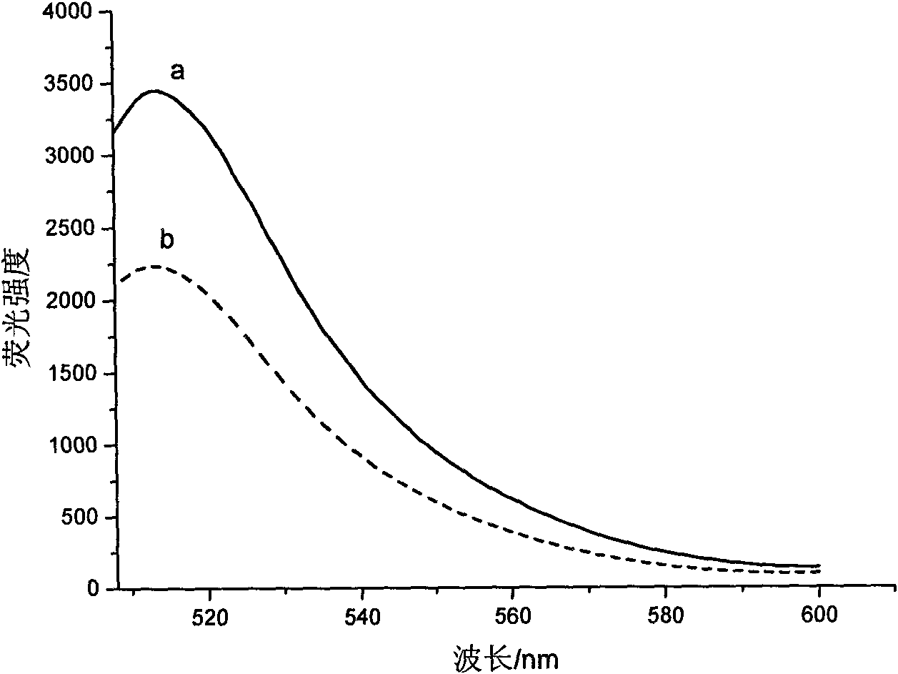 FITC-doped silica fluorescent nanoparticle and preparation method thereof