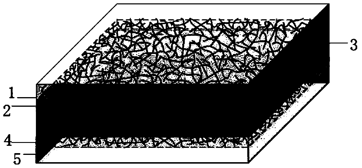 Flexible capacitive sensor fabricated by employing silver nanowire flexible electrode and fabrication method of flexible capacitive sensor