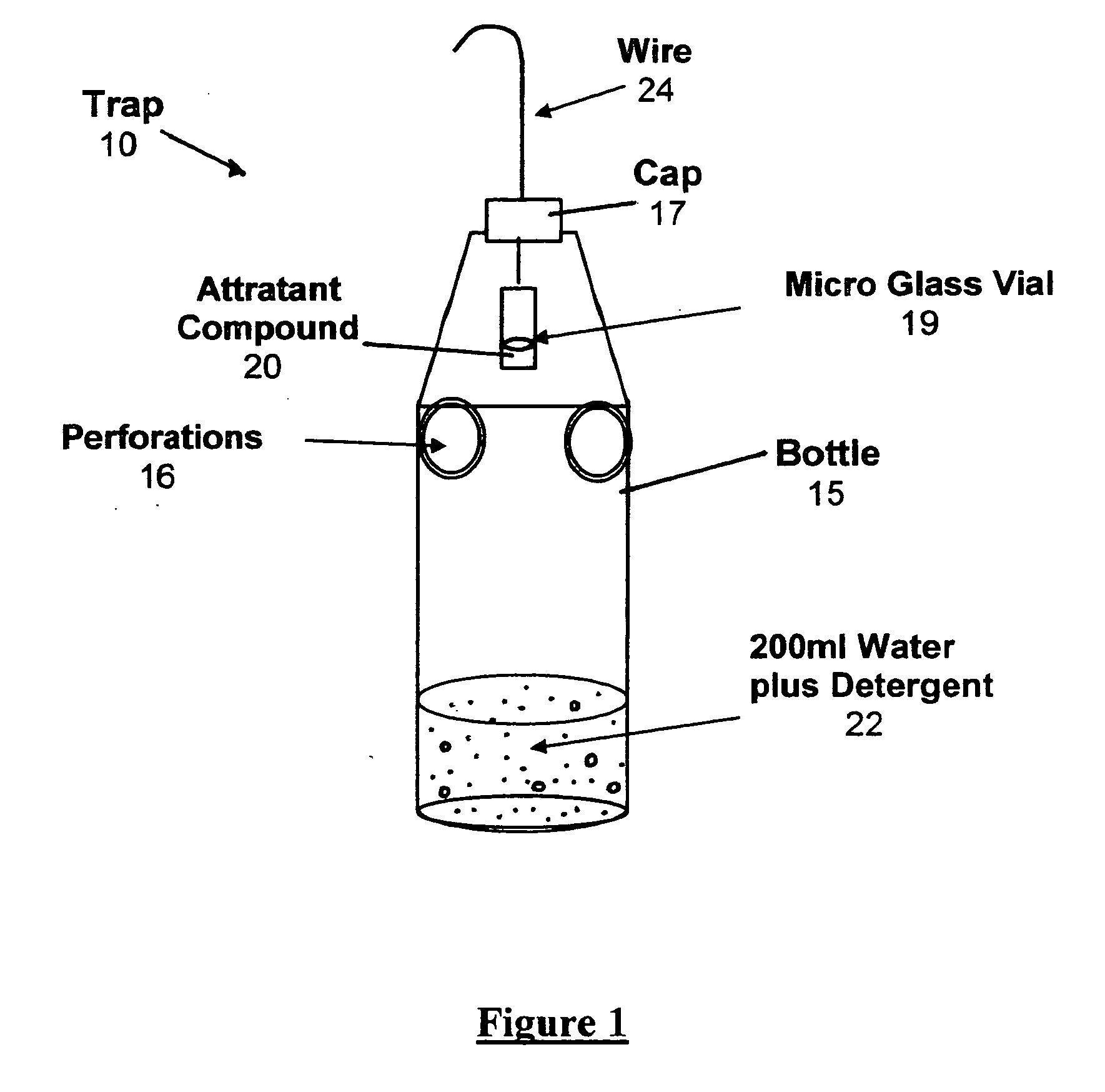 Attractant compounds for yellow jacket wasps