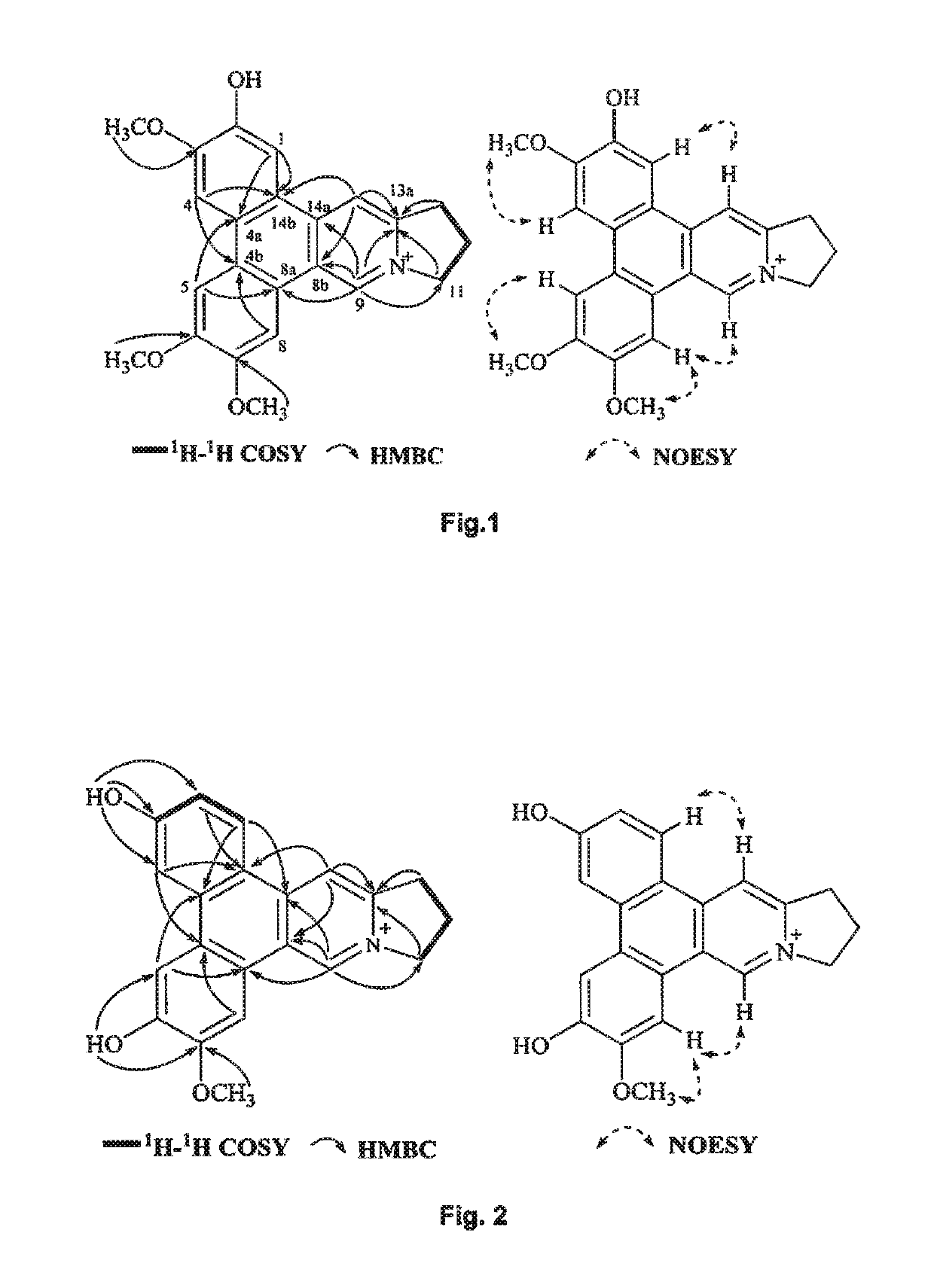 Method of isolating quaternary phenanthroindolizidine alkaloids with G-quaduplex DNA binding activity from <i>Tylophra atrofolliculata</i>, compositions comprising them and their medical use