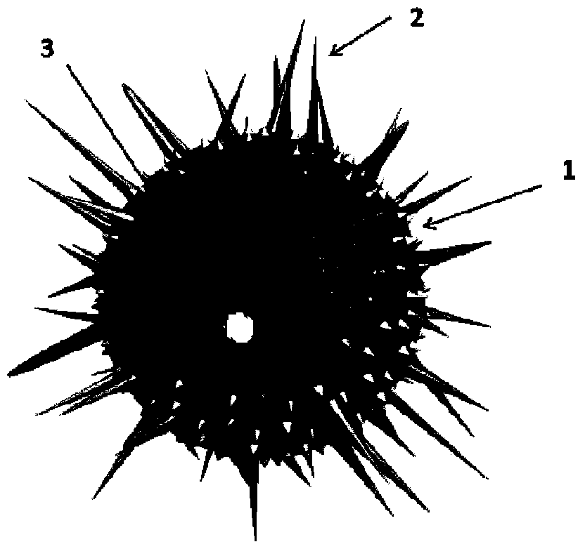 A polymer vesicle with imitation virus structure and its preparation method and application