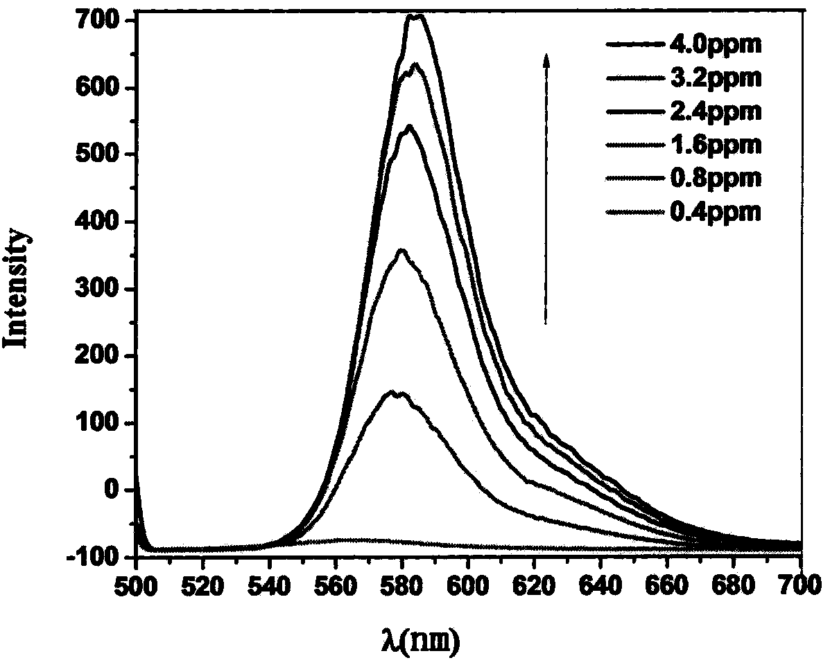 Rhodamine fluorescent probe capable of detecting and separating heavy metal ions, and preparation method of rhodamine fluorescent probe
