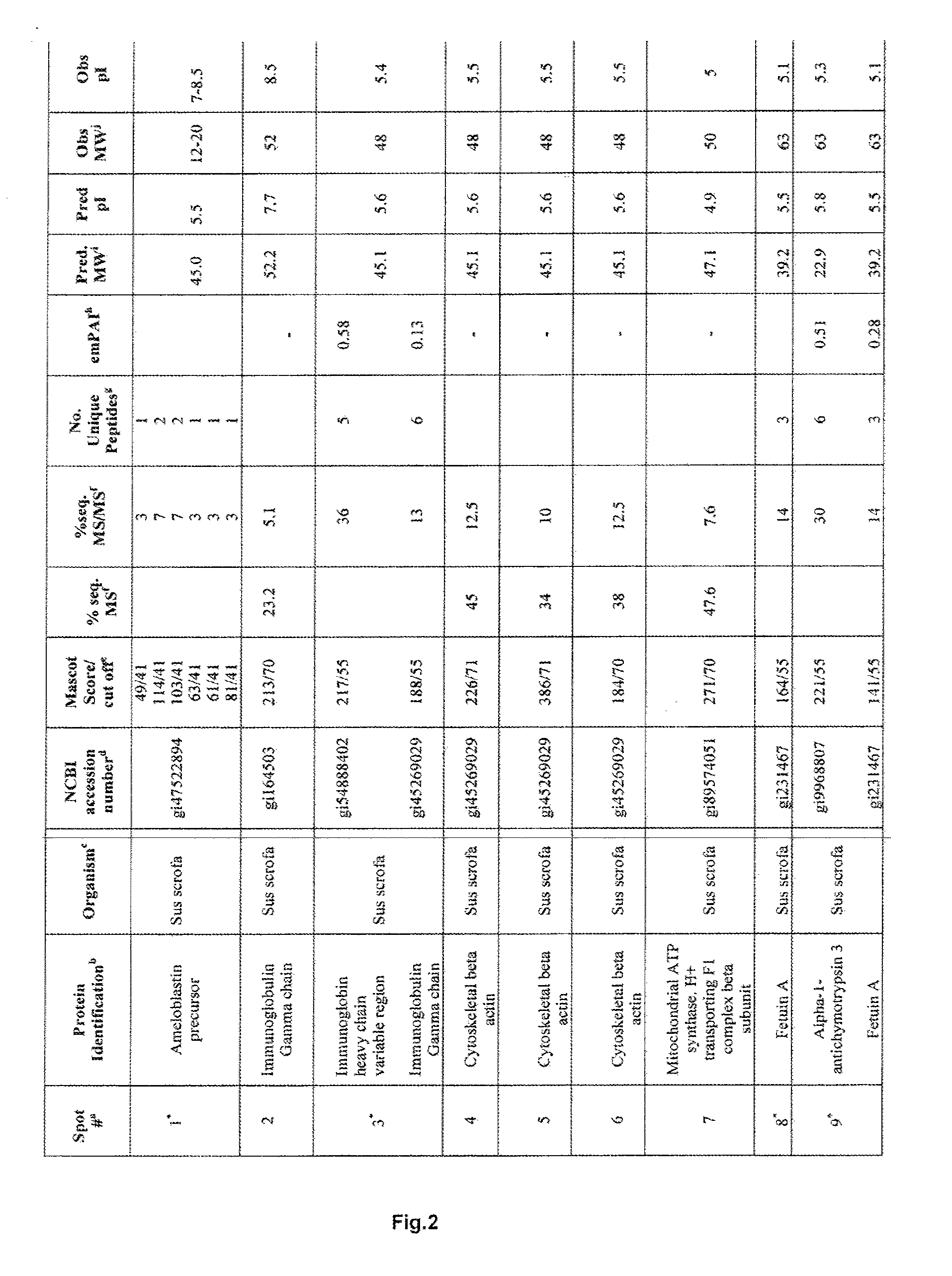 Purified emd protein composition