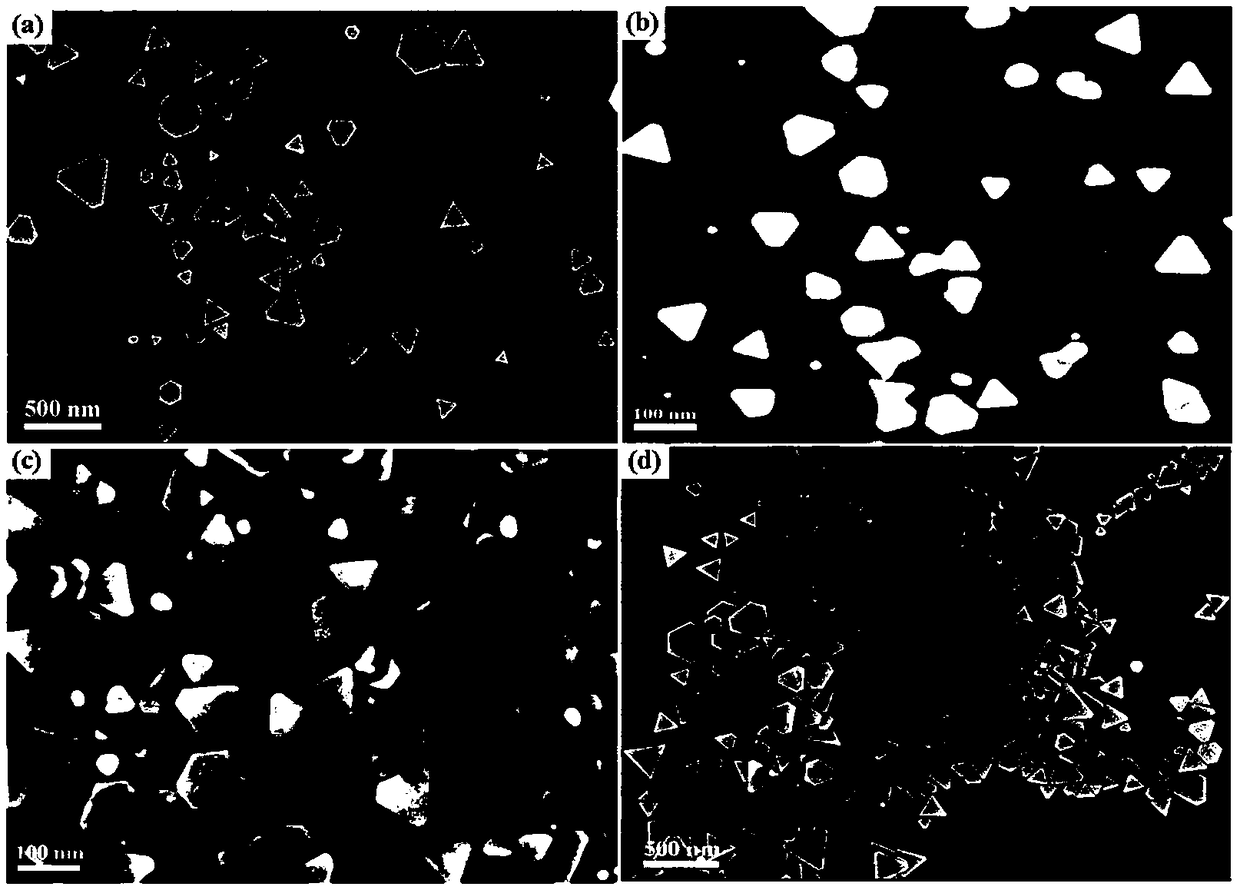 Preparation method of monodisperse triangular nano-silver