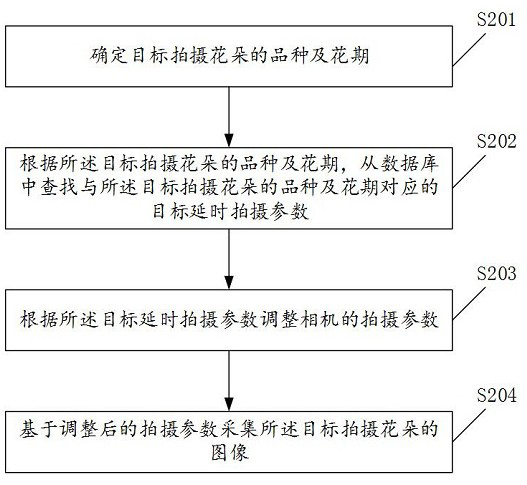 Shooting method and device for flower flowering process, electronic equipment and storage medium