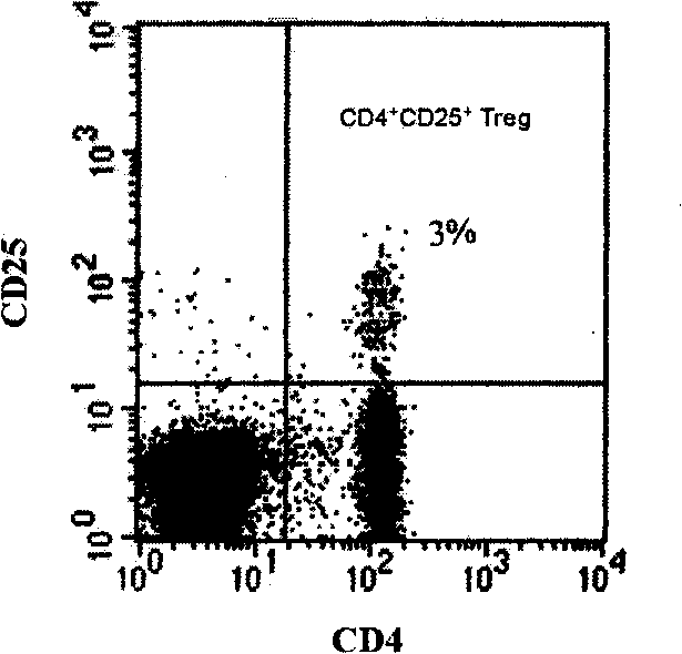 Anti-activated state T cell antibody vaccine for preventing and/or treating immune correlated disease