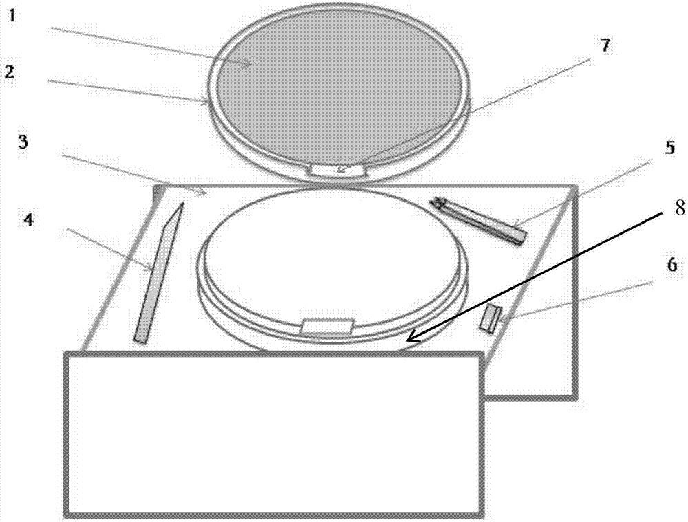 Method and device for stripping adhesive film from wafer