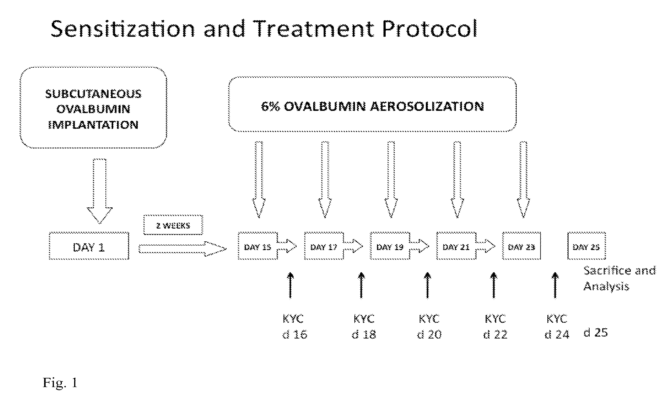 Peptide-based peroxidase inhibitors and methods of using same