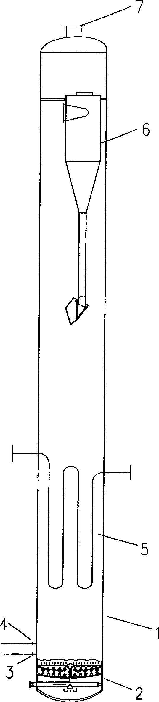 Fluidized bed reactor used for Fischer-Tropsch synthesis