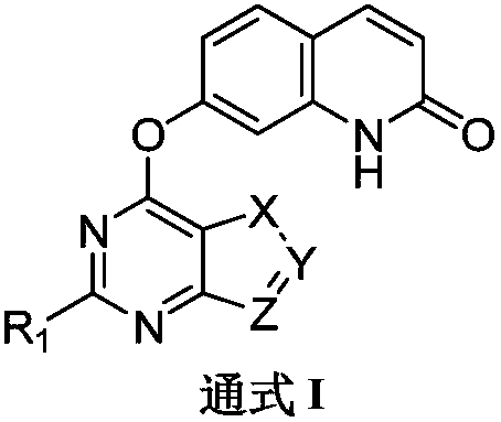 Quinolinone-containing pyrimido-five-membered heterocyclic compounds and a preparation method and application thereof