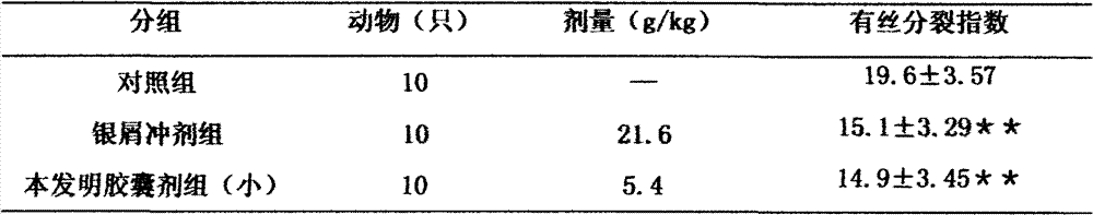 Traditional Chinese medicine composition for psoriasis and preparation method thereof