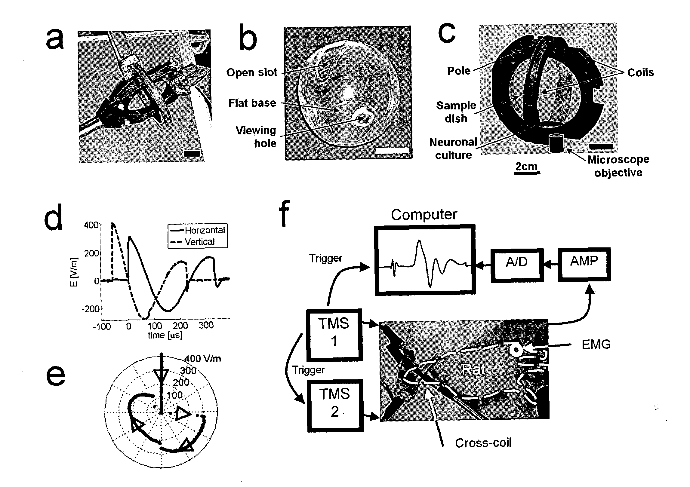 Magnetic configuration and timing scheme for transcranial magnetic stimulation