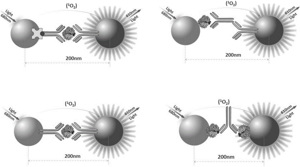Homogeneous phase immunoassay POCT detection technique and system using same