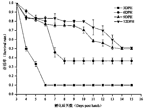 Bait feeding method for improving survival rate of loach fries