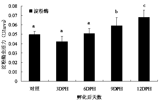 Bait feeding method for improving survival rate of loach fries