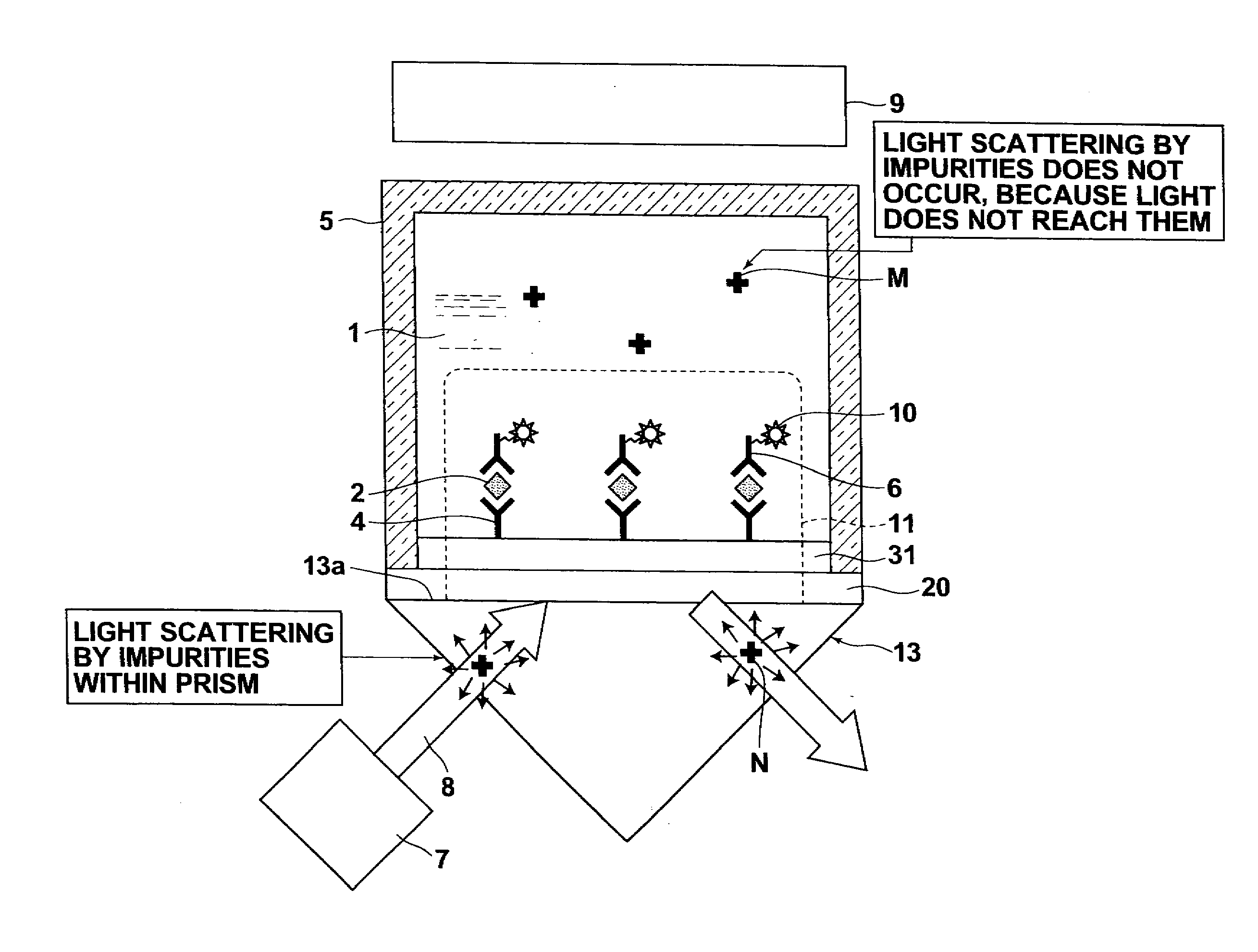 Surface plasmon enhanced fluorescence sensor and fluorescence detecting method