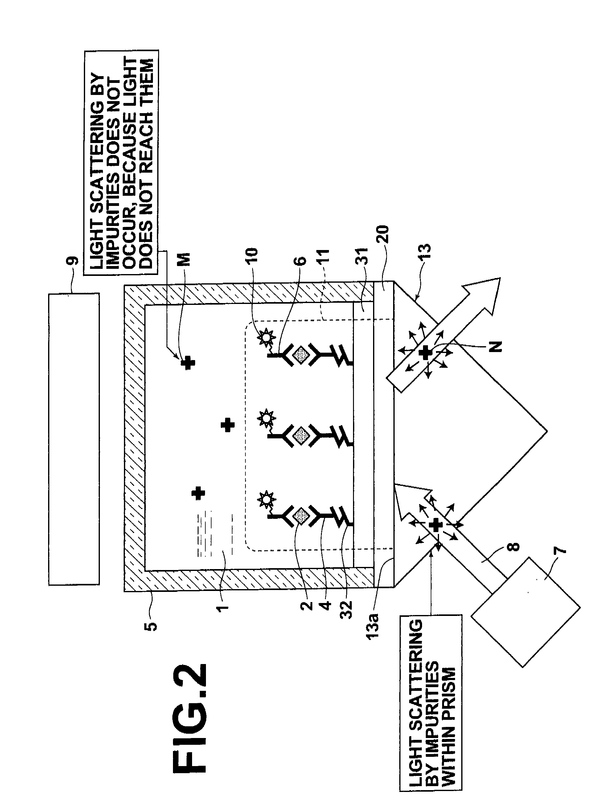 Surface plasmon enhanced fluorescence sensor and fluorescence detecting method