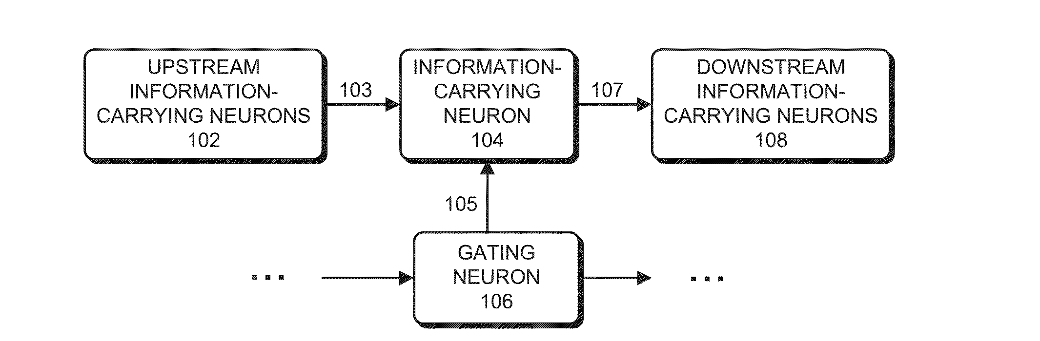 Neuromorphic circuit that facilitates information routing and processing