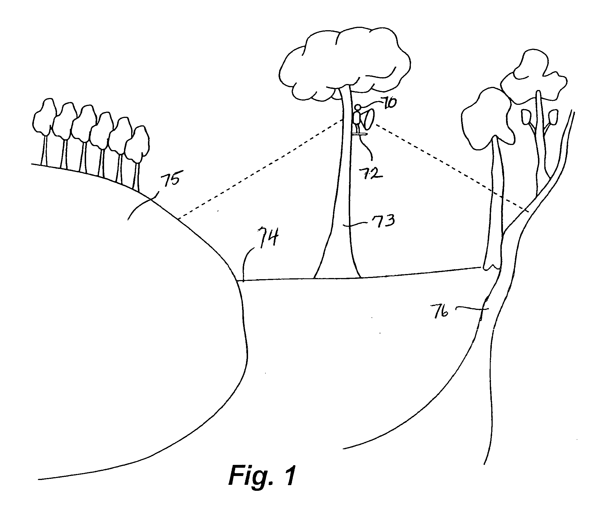 Scent dispersing apparatus