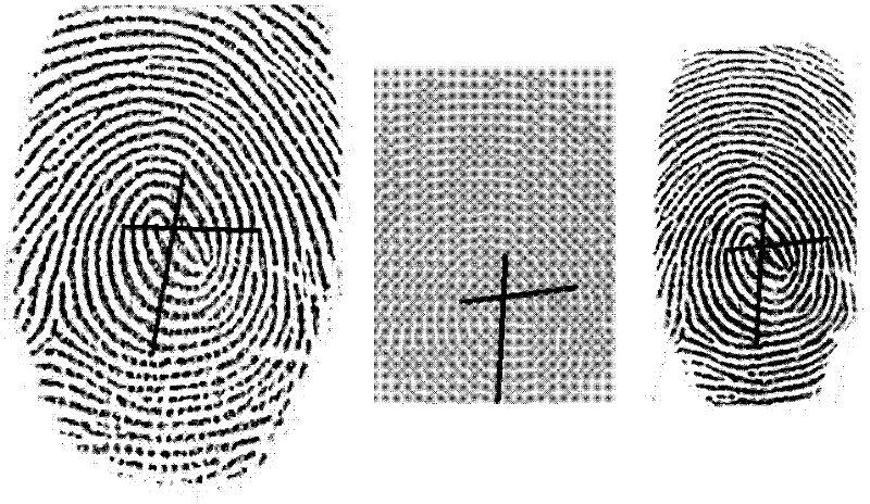 Cross matching fingerprint image scaling method based on global ridge distance