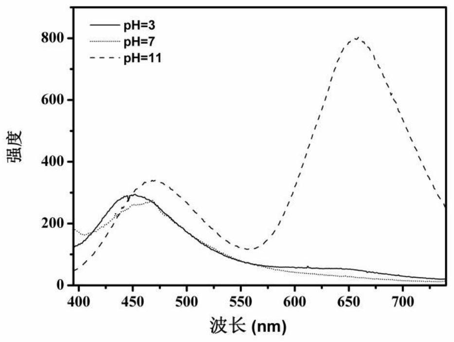 Preparation method of glutathione S-transferase-gold platinum nano-cluster and application of glutathione S-transferase-gold platinum nano-cluster in aureomycin detection