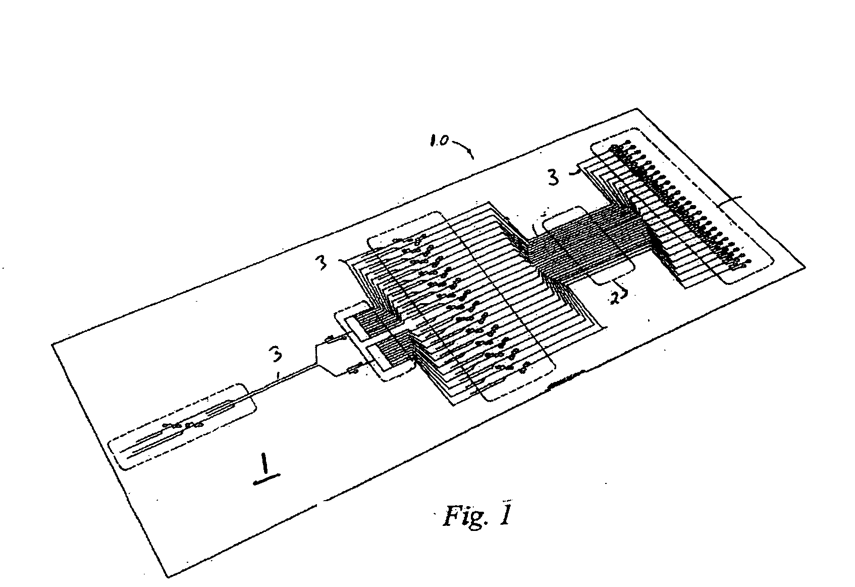 Optical detector for a particle sorting system