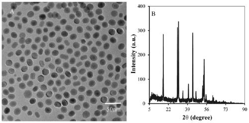 Preparation method of graphene-rare earth up-conversion composite material and application thereof in joint toxicity evaluation of pesticides