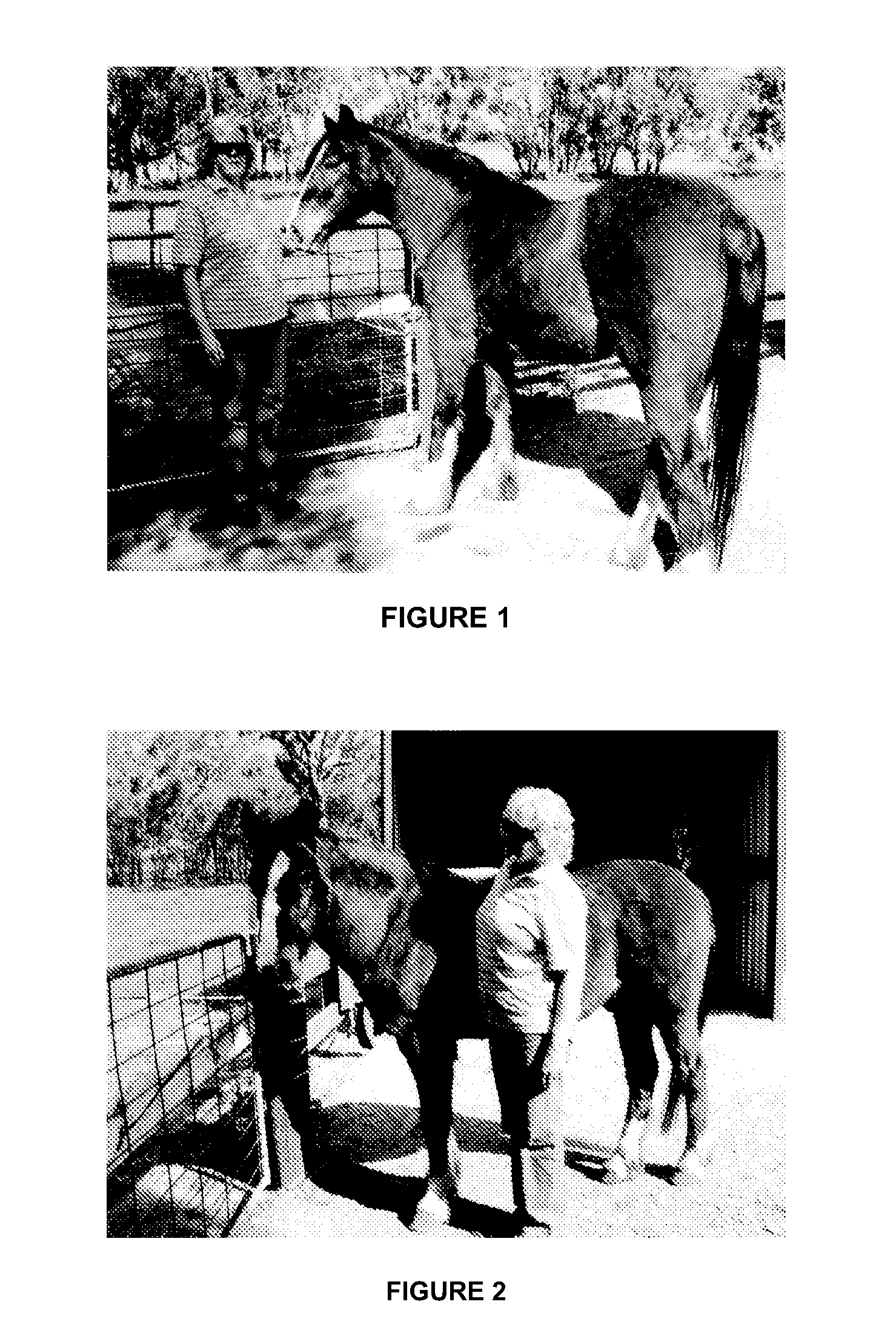 Methods and compositions for treating and preventing laminitis, founder and overeating in an ungulate