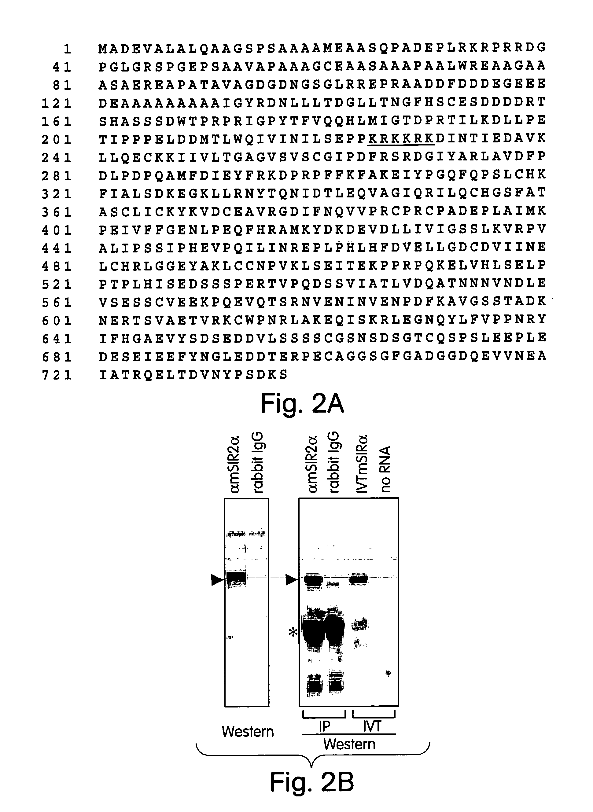 Methods for identifying agents which alter histone protein acetylation