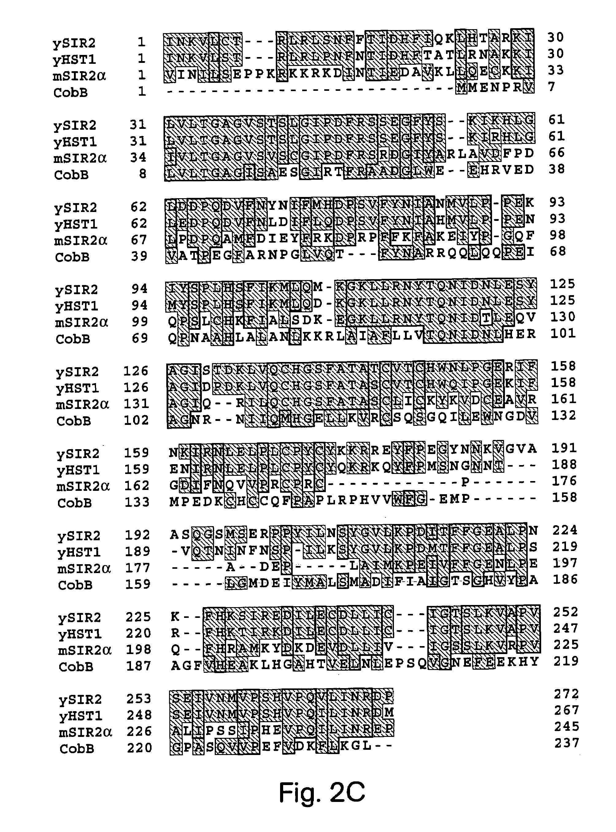 Methods for identifying agents which alter histone protein acetylation