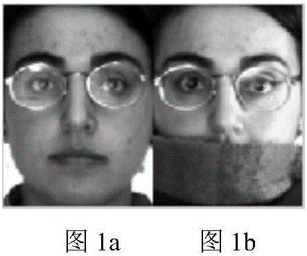 Face identification method based on iteration re-constraint group sparse expression classification