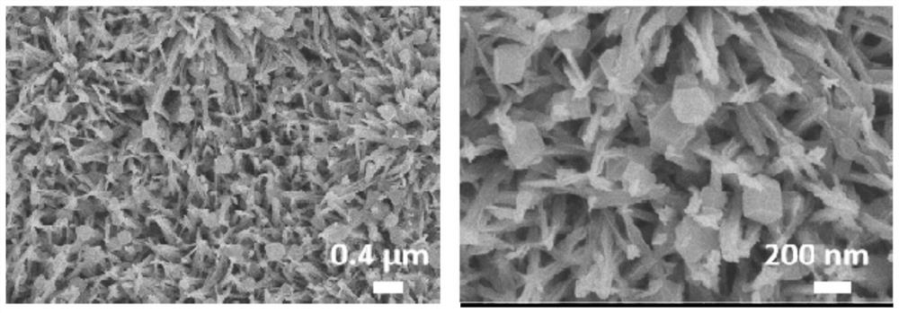 Method for in-situ construction of metal organic framework nanoparticles on surface of titanate