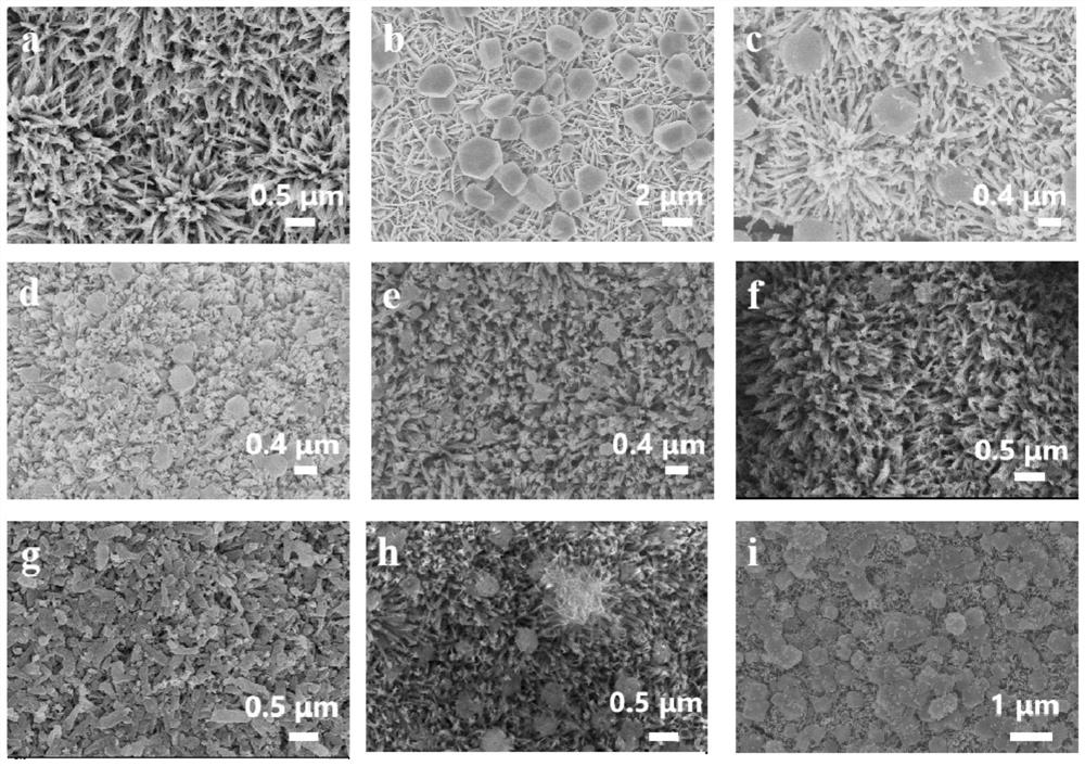 Method for in-situ construction of metal organic framework nanoparticles on surface of titanate