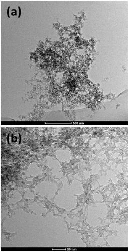 Preparation method of metal-doped nanometer black phosphorus